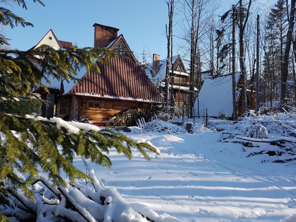 Шале Domek Drewniany Tetmajera Centrum Zakopane Закопане